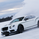 Illustration for article titled Bentleys On Ice, Bentleys On Ice